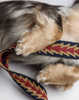 Hundeleine Peruvian Arrow Blue