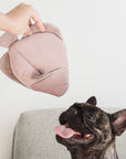 ENGELFISCH//BEREICHERUNGSSPIELZEUG FÜR HUNDE