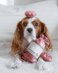 SAUCISSON SEC//BEREICHERUNGSSPIELZEUG FÜR HUNDE