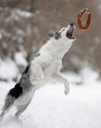 Hundespielzeug Rub Bite Grösse S