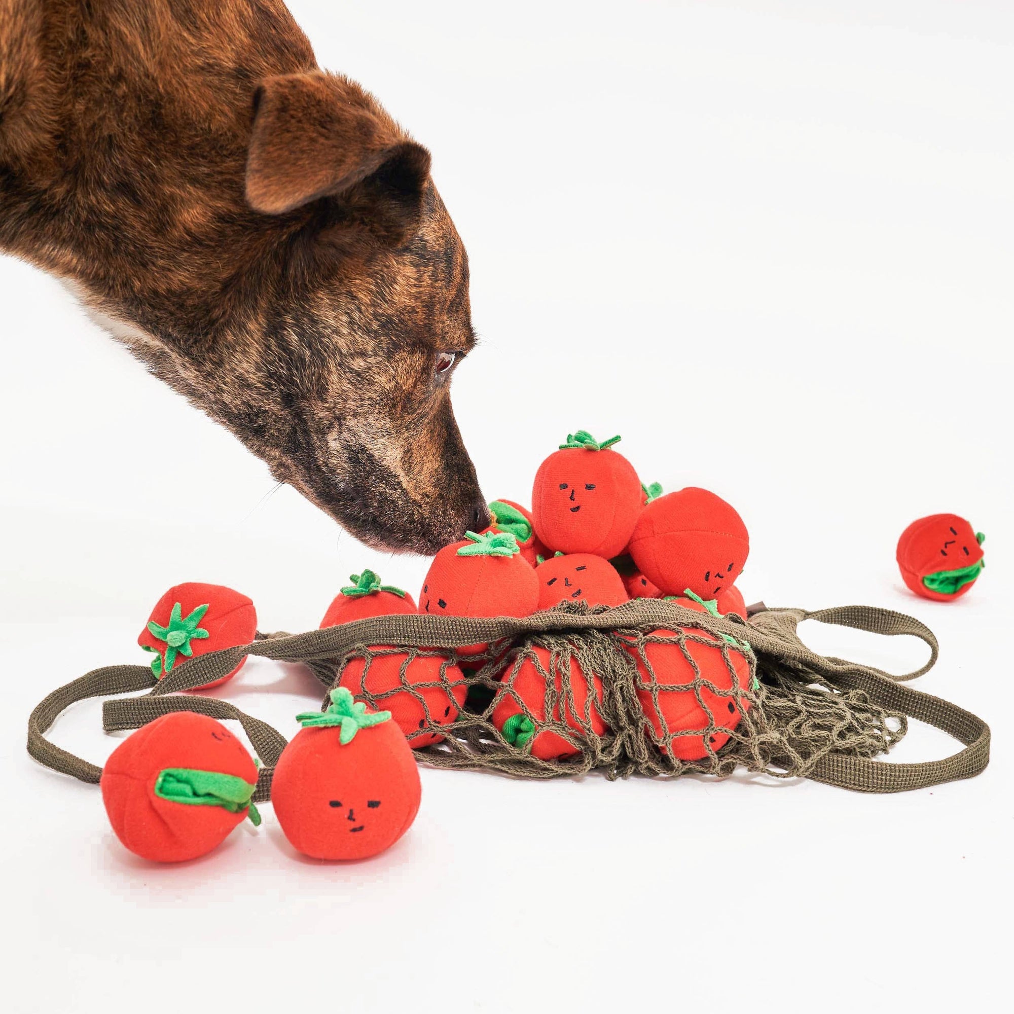 Schnüffel- und Ziehspielzeug mit Kirschtomaten
