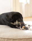 Hundespielzeug Knister Donut Leo