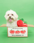 Schnüffelspiel Apple Nosework Hundespielzeug