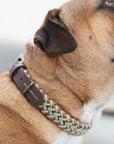 Paracord Hundehalsband Shire Limited