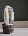 Dog toy cactus