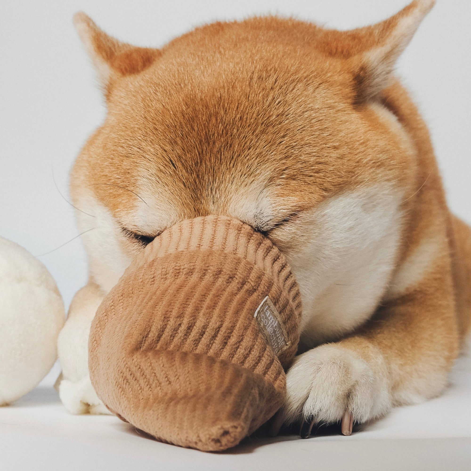 Hundespielzeug Eiscreme Pop