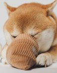 Hundespielzeug Eiscreme Pop