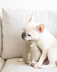 BUTTERNUT//ENRICHMENT HUNDESPIELZEUG: L