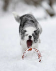 Hundespielzeug Rub Bite Grösse M