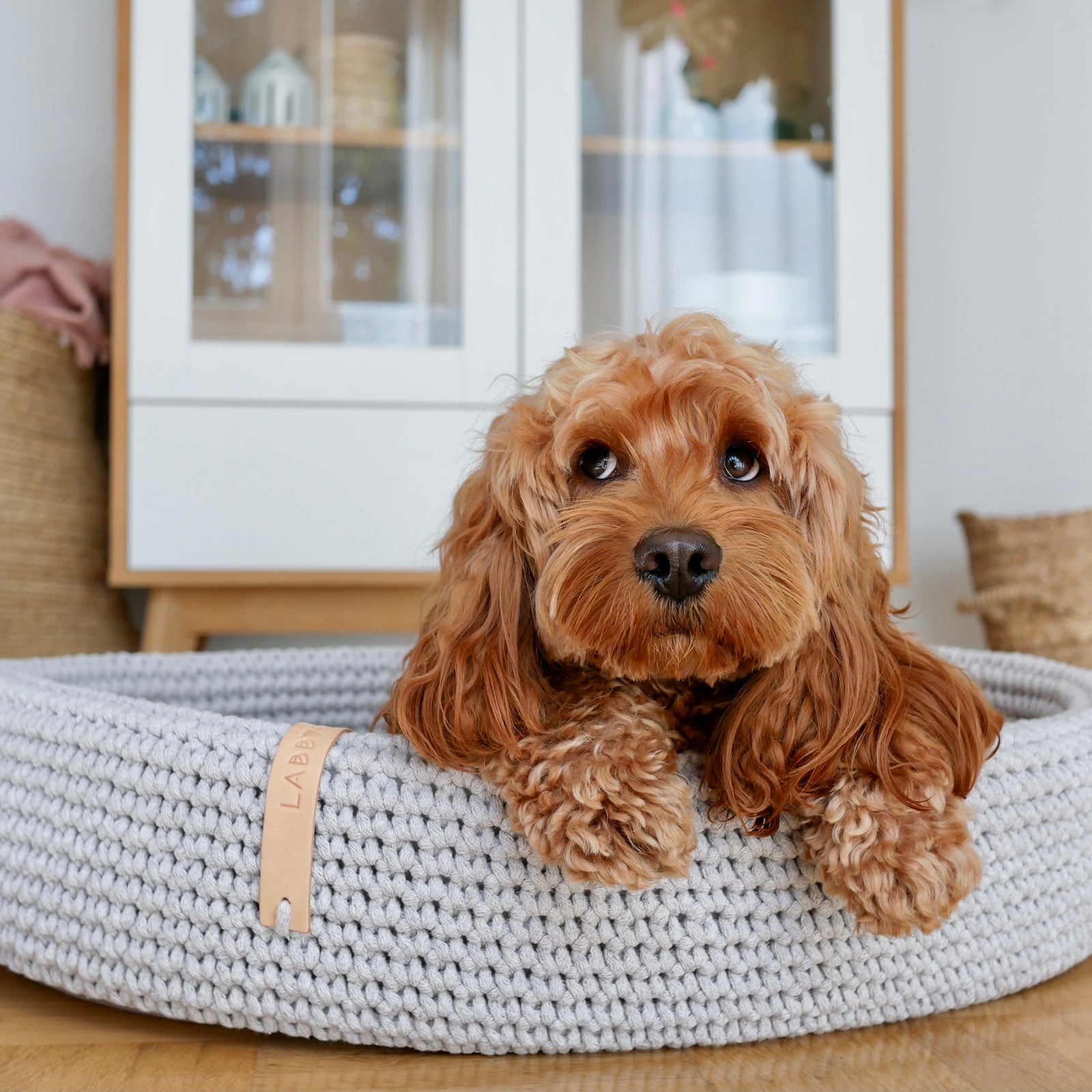 Hundebett Lukko light grey