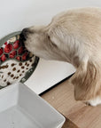 Ne&no® Anti-Schlingnapf / Schleckschale für Hunde & Katzen: Stone Grey