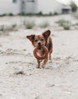 Hundespielzeug Rub Bite Grösse M