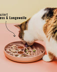 Ne&no® Anti-Schlingnapf / Schleckschale für Hunde & Katzen: Stone Grey