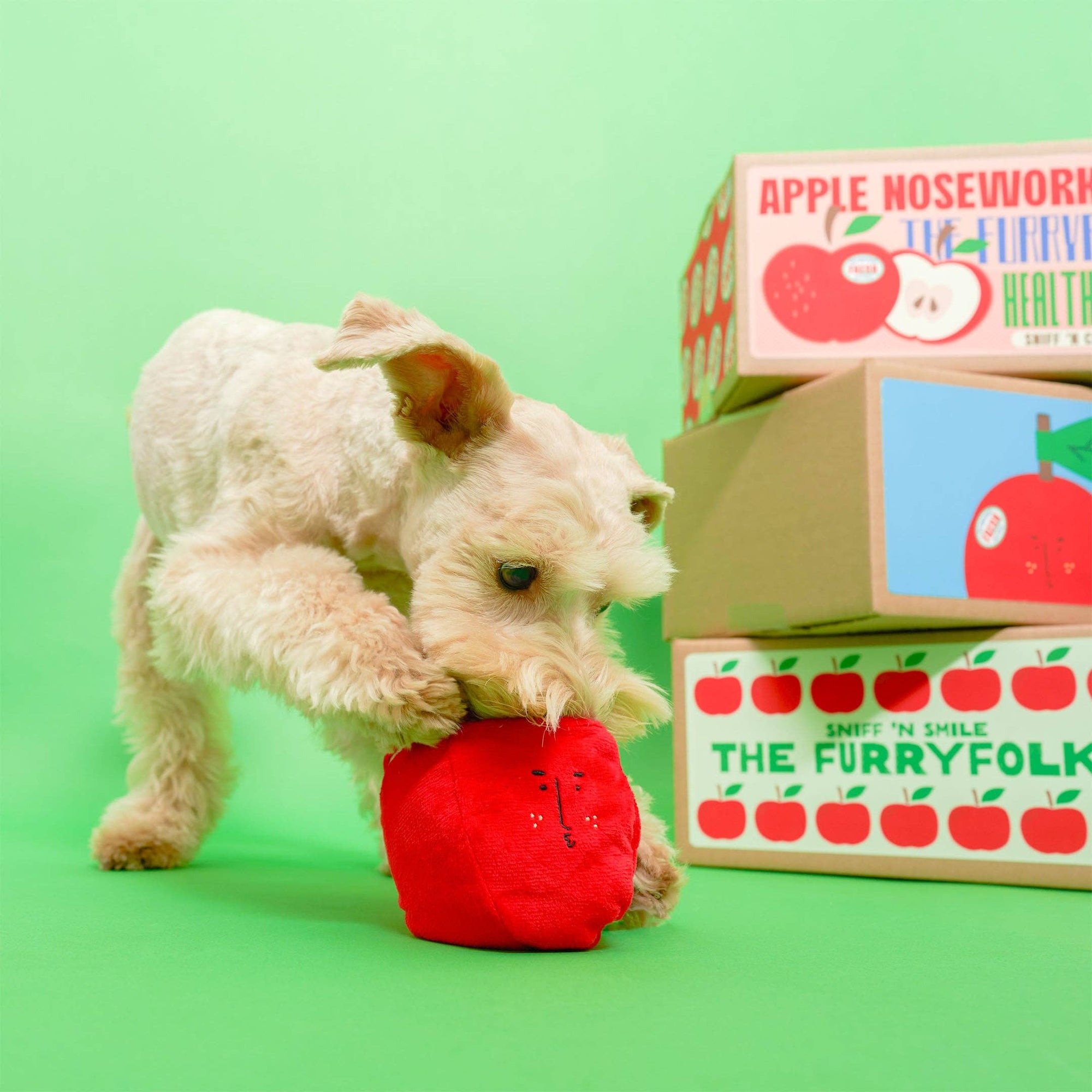 Schnüffelspiel Apple Nosework Hundespielzeug