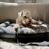 Dog Blanket Seti