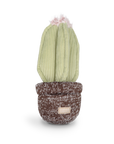 Dog toy cactus