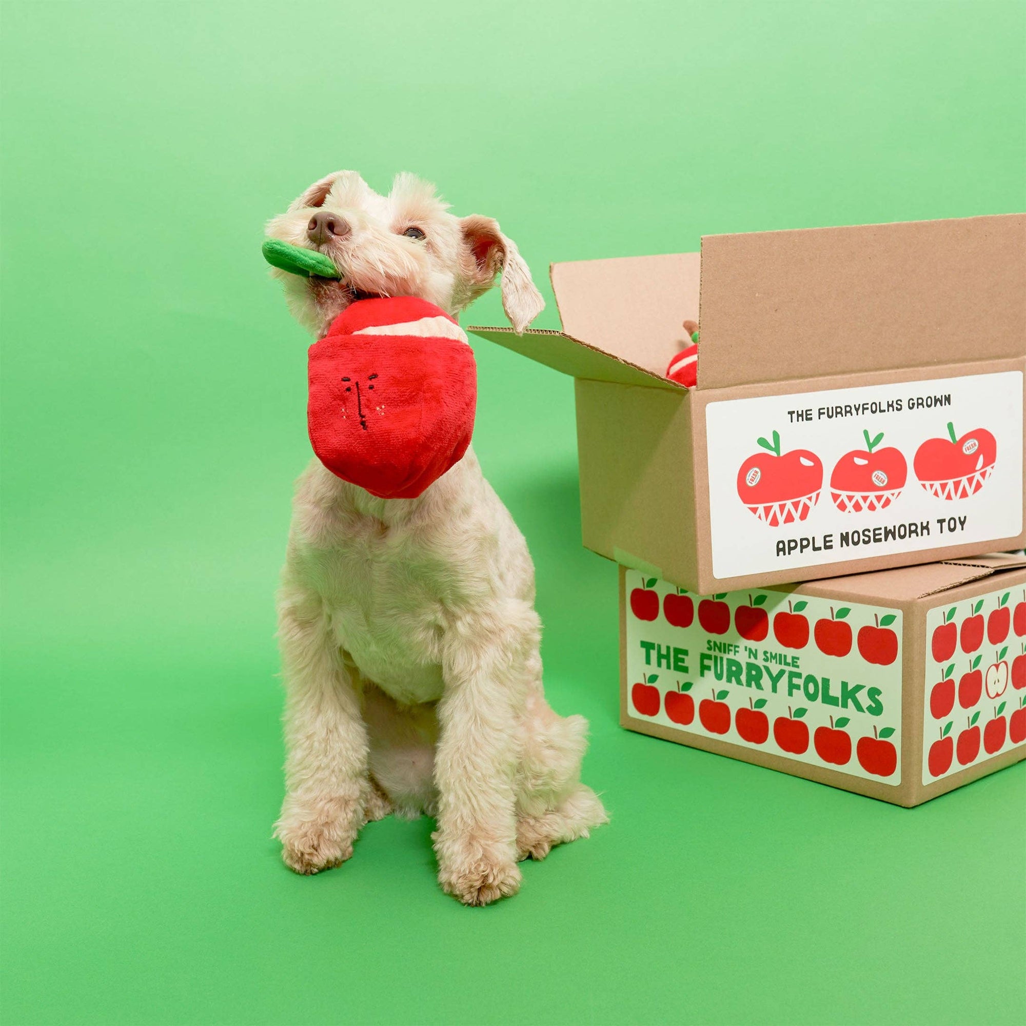 Schnüffelspiel Apple Nosework Hundespielzeug