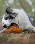 Hundespielzeug Rub Bouncy Grösse S