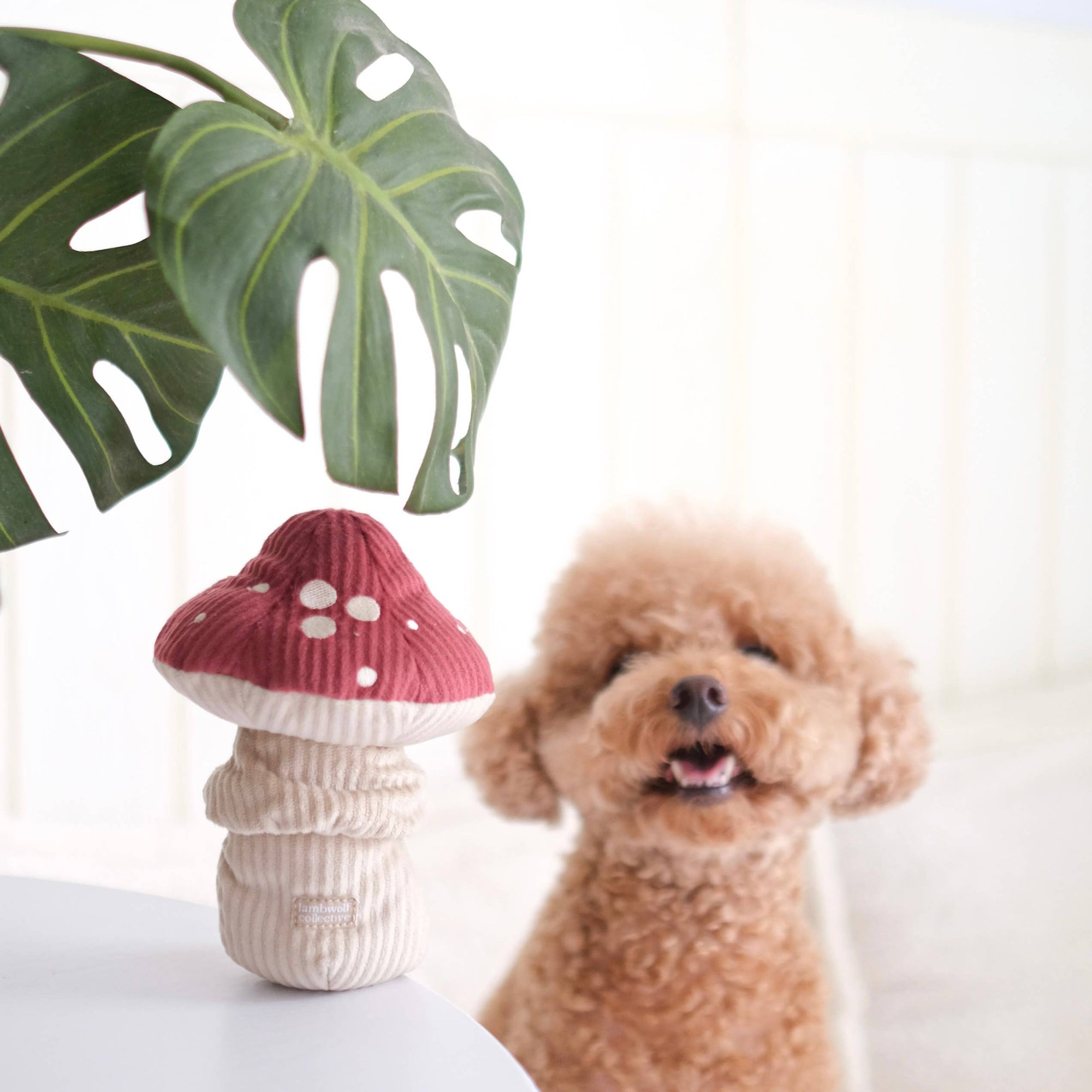 Hundespielzeug Shroom Fliegenpilz