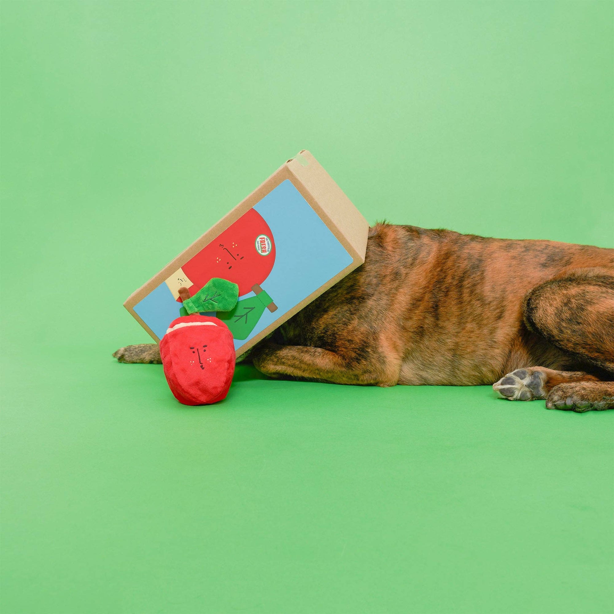 Schnüffelspiel Apple Nosework Hundespielzeug