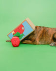 Schnüffelspiel Apple Nosework Hundespielzeug