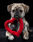 Hertha Heart: Medium Dog Toy Laboni