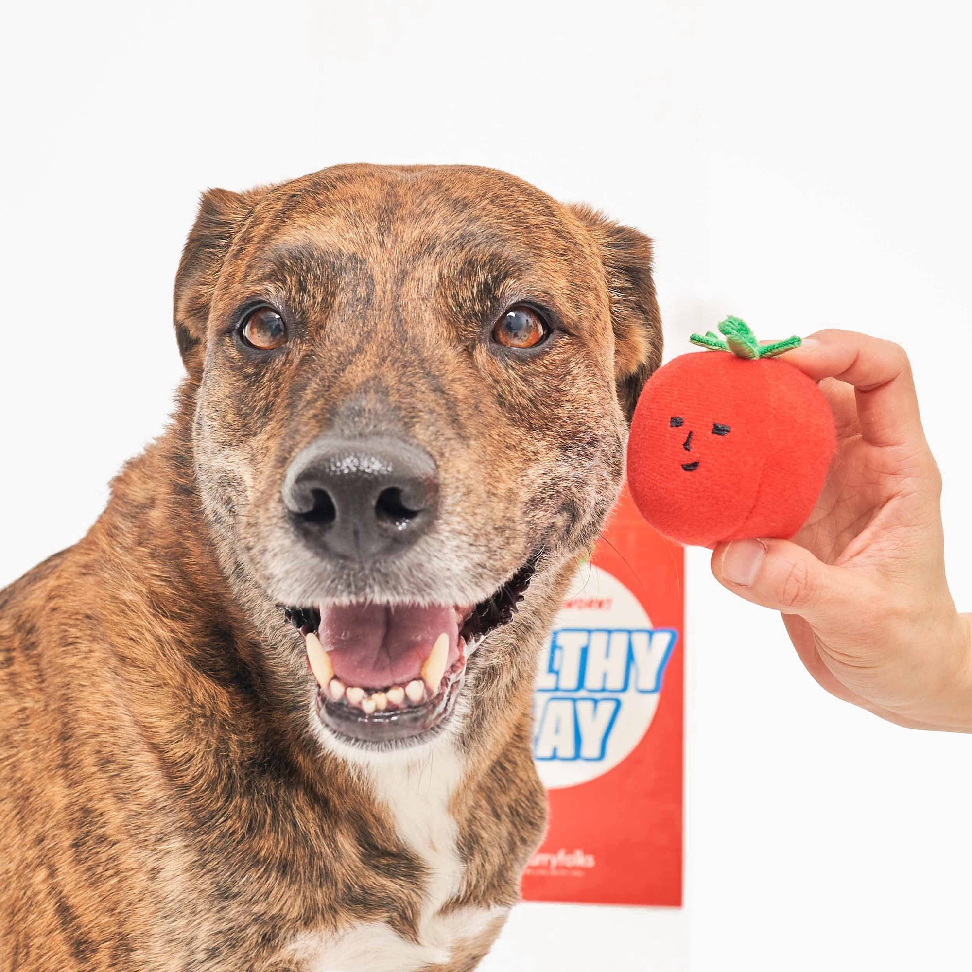 Schnüffel- und Ziehspielzeug mit Kirschtomaten