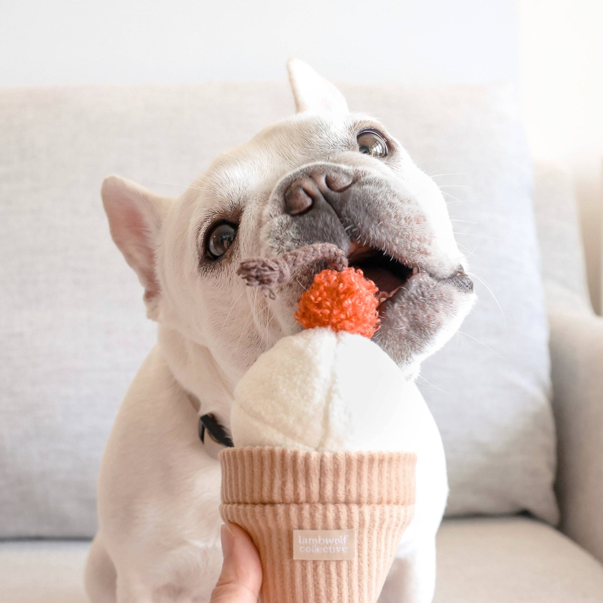 Hundespielzeug Eiscreme Pop
