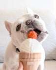 Hundespielzeug Eiscreme Pop
