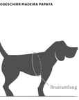 Y-Dog Harness Madeira Papaya