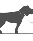 Hundehalsband Nylon RESC7UE Grün