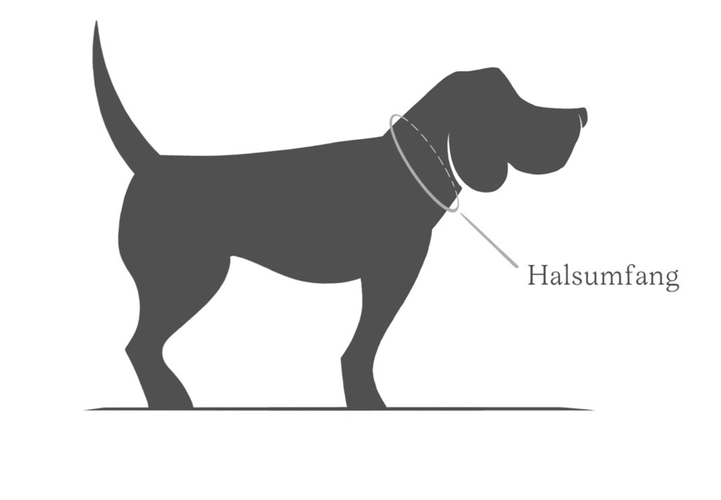 Hundehalsband Ipanema  BioThane Schwarz-Olive