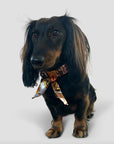 Hundehalsband Twilly Classy cognac