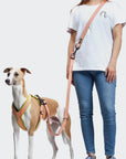 Hundegeschirr Y-1 AKTIV Air-Mesh Peach