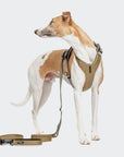 Hundegeschirr Y-2 AKTIV Cordura Khaki