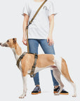 Hundegeschirr Y-2 AKTIV Cordura Khaki
