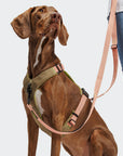 Hundegeschirr Y-2 AKTIV Cordura Peach