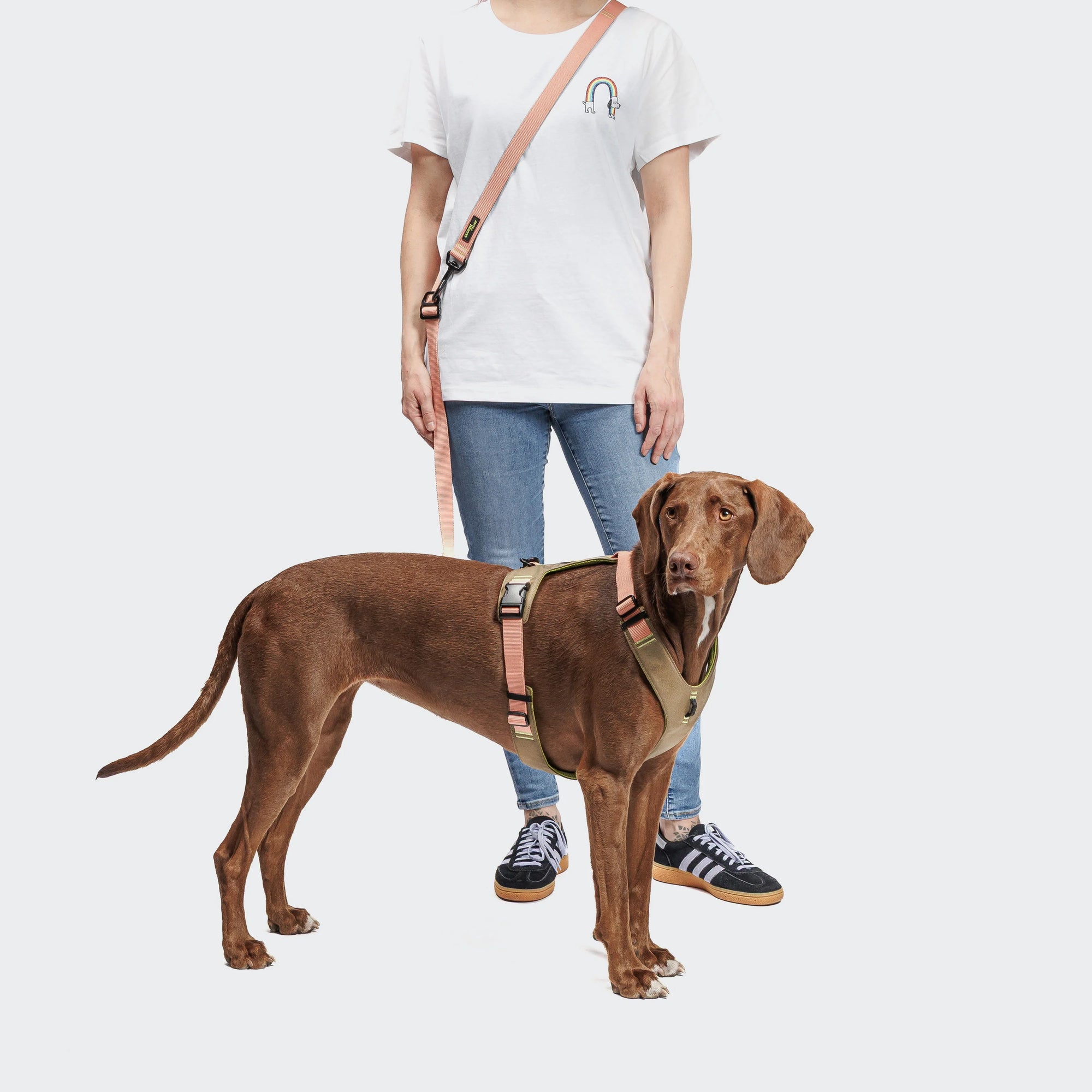 Hundegeschirr Y-2 AKTIV Cordura Peach