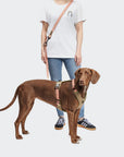 Hundegeschirr Y-2 AKTIV Cordura Peach