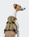 Hundegeschirr Y Sicherheitsgeschirr AKTIV Khaki Grey