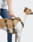 Hundegeschirr Y Sicherheitsgeschirr AKTIV Khaki Grey
