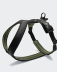 Y-1 Geschirr AKTIV Air-Mesh Black