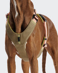 Hundegeschirr Y-2 AKTIV Cordura Peach