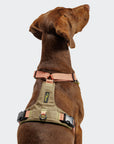 Hundegeschirr Y-2 AKTIV Cordura Peach