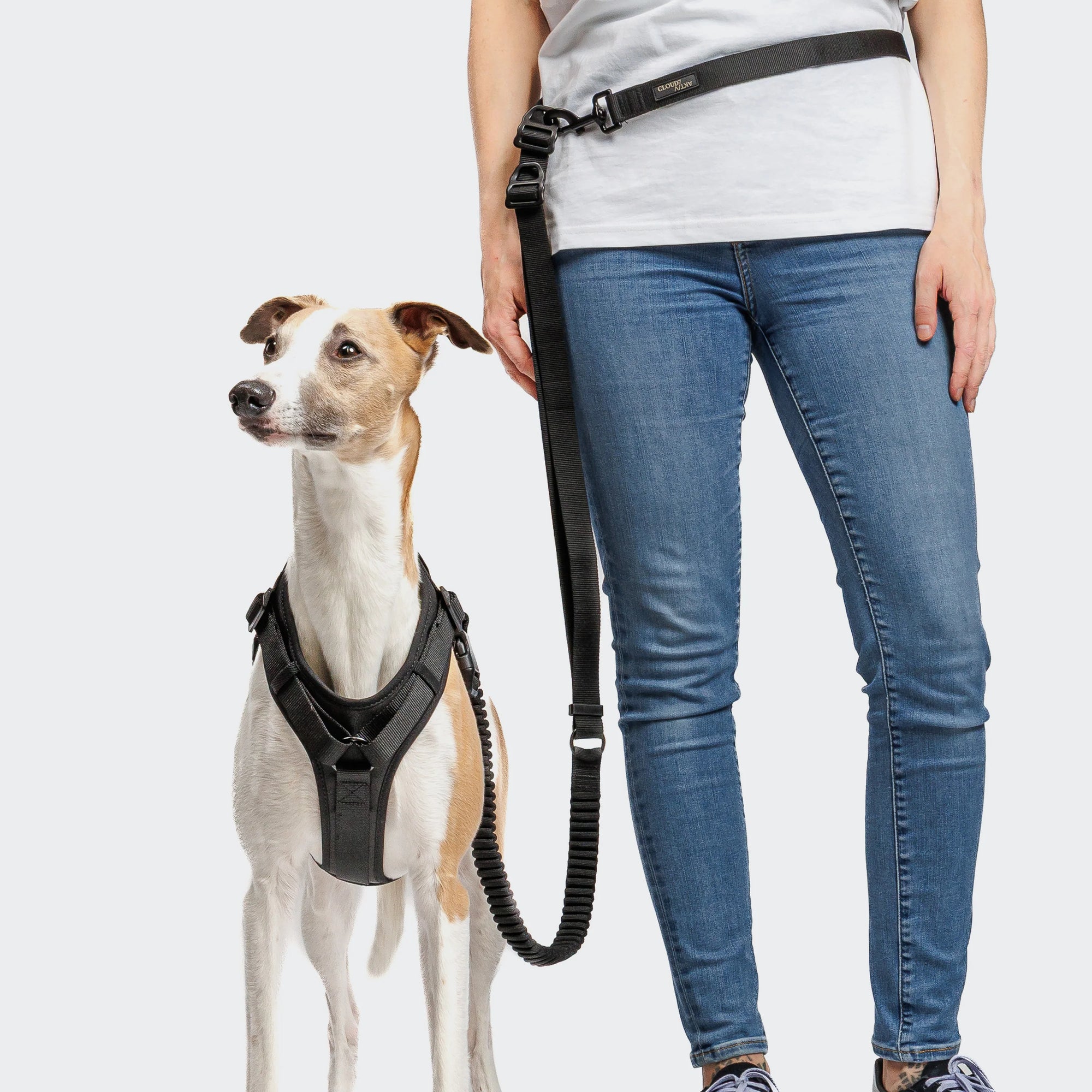 L-2 Jogging-Leine AKTIV Black