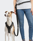 L-2 Jogging-Leine AKTIV Black
