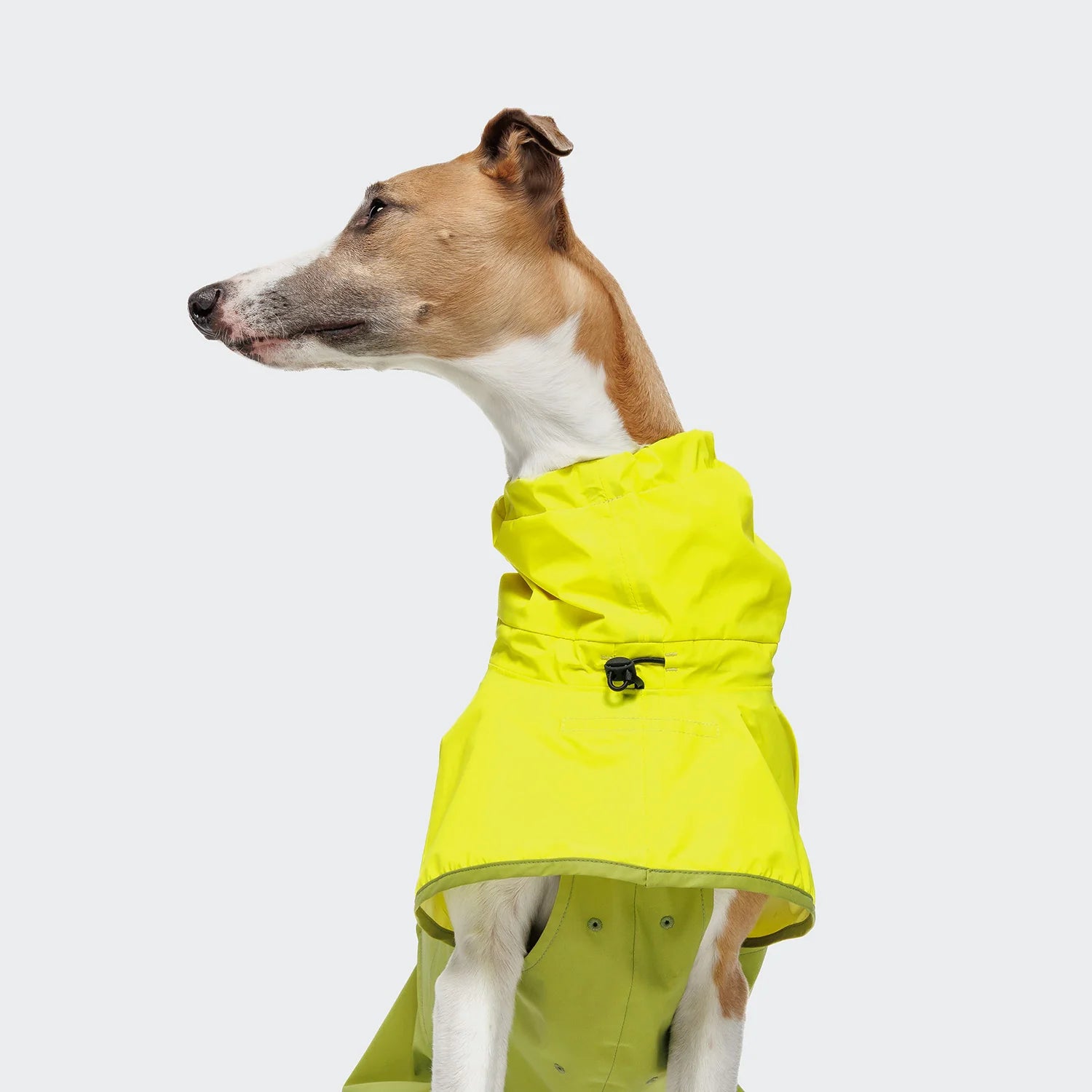 Hunderegenmantel Aktiv Neon Green