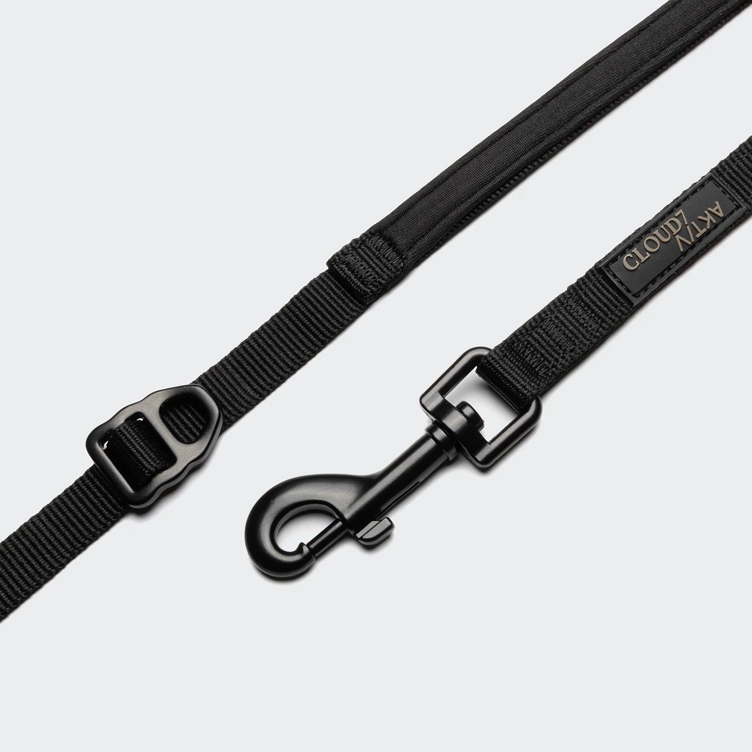 L-2 Jogging-Leine AKTIV Black