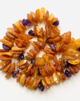 Bernsteinkette Cognac Amber Amethyst Zeckenhalsband