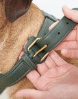 Leather dog harness Sand